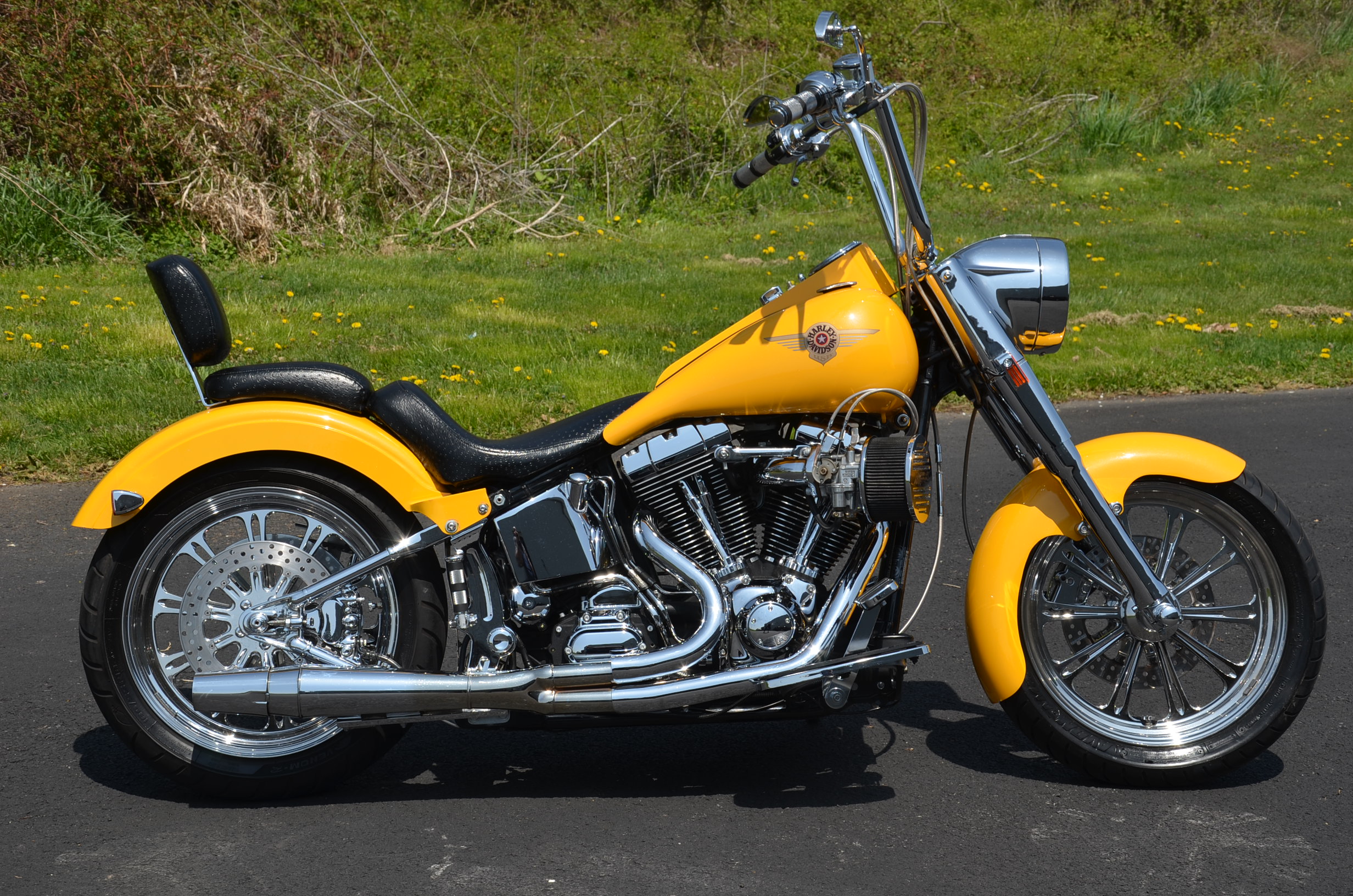 Buy 2001 HARLEY DAVIDSON SOFTAIL FATBOY FAT BOY FLSTF on 2040motos