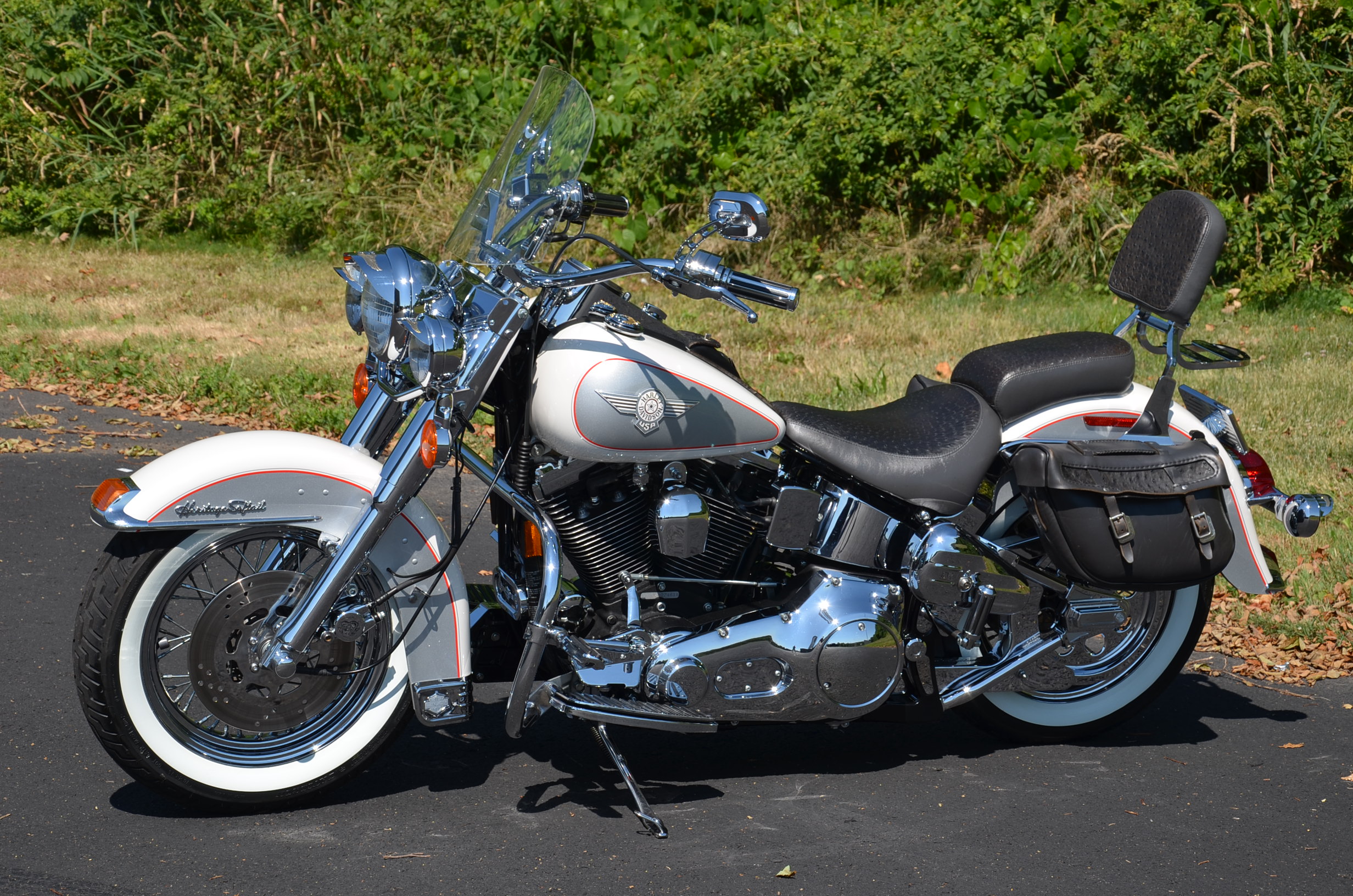 89 harley softail custom