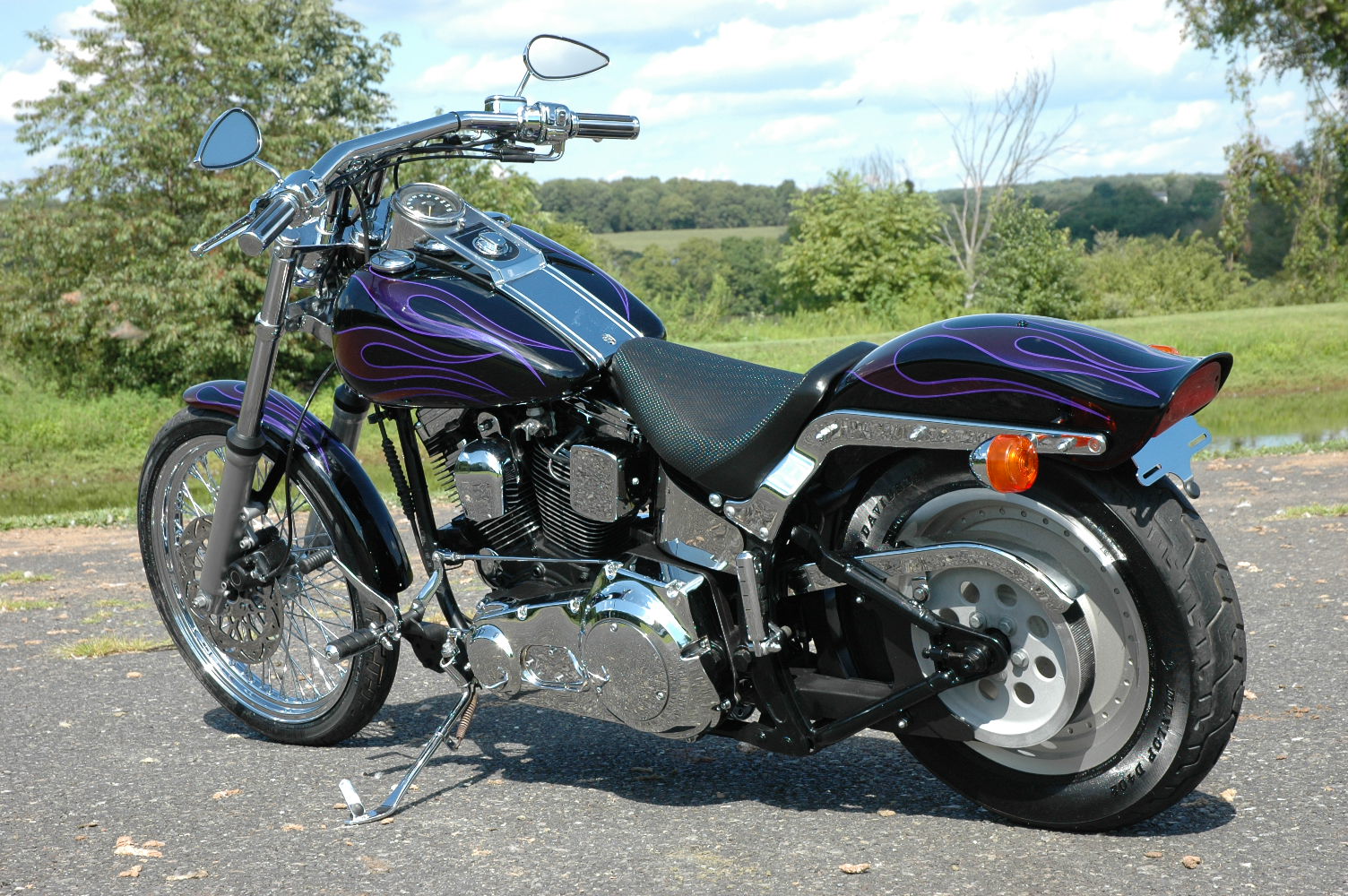 fat bob tail tidy