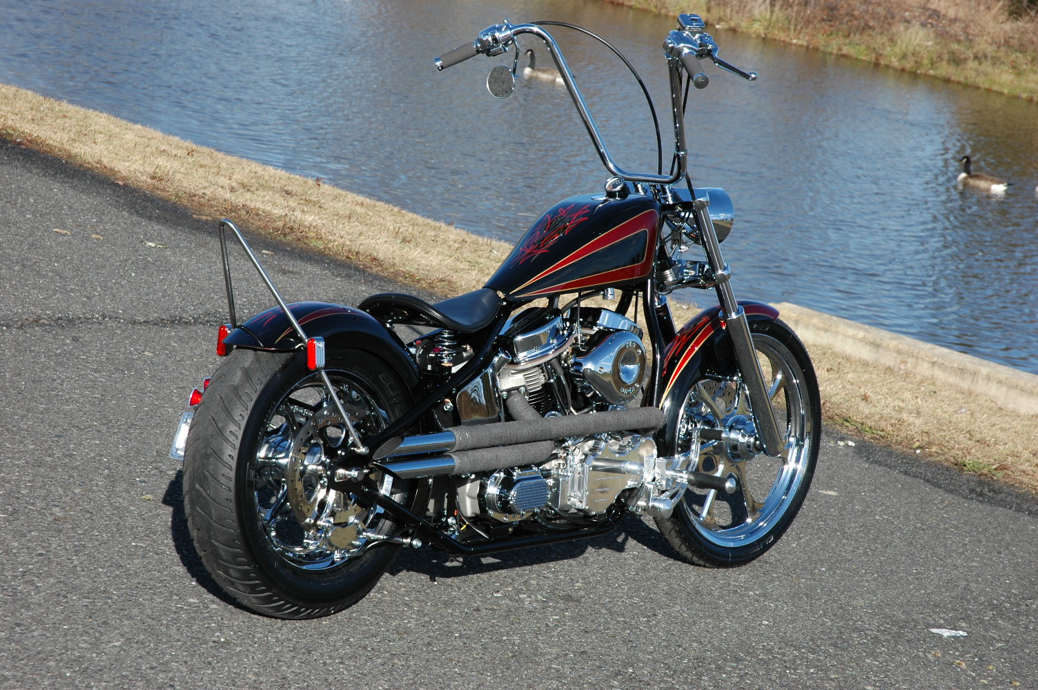 harley roadster rearsets
